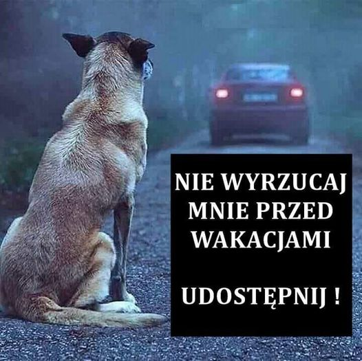 obraz_2024-05-23_215236228.png
