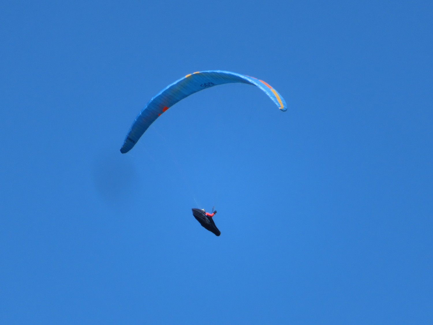 IMG_7354.JPG