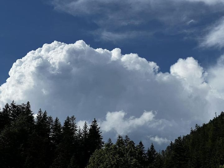 obraz_2024-06-01_184241857.png