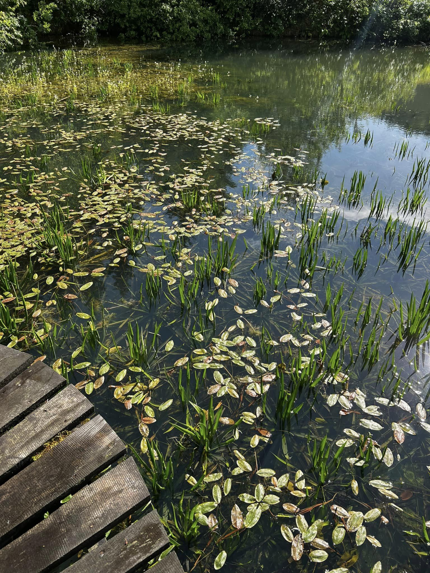 obraz_2024-06-01_184336744.png