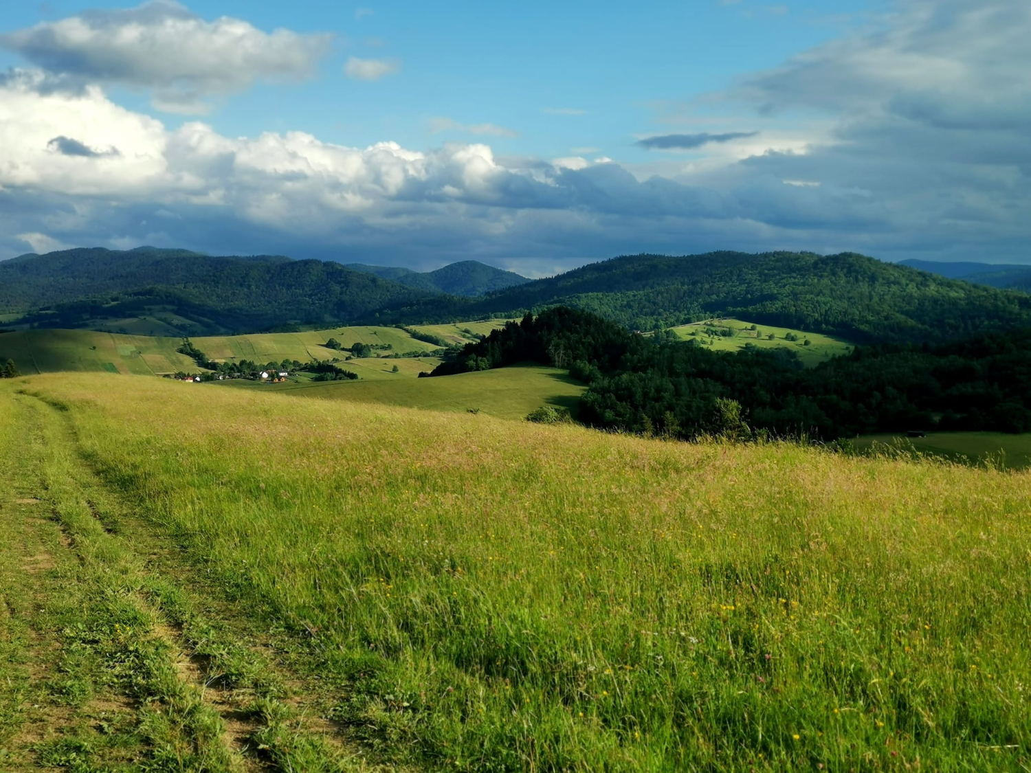 obraz_2024-06-02_194831318.png