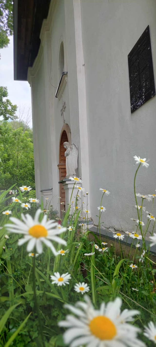 obraz_2024-06-07_092651678.png