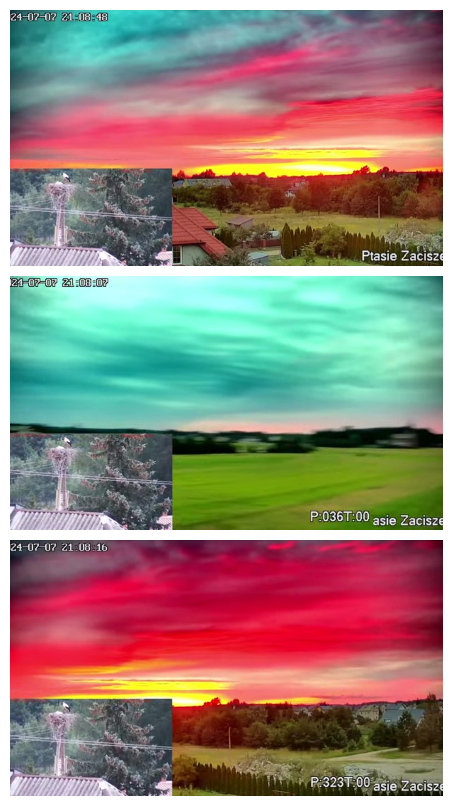 20240707_211404-COLLAGE.jpg