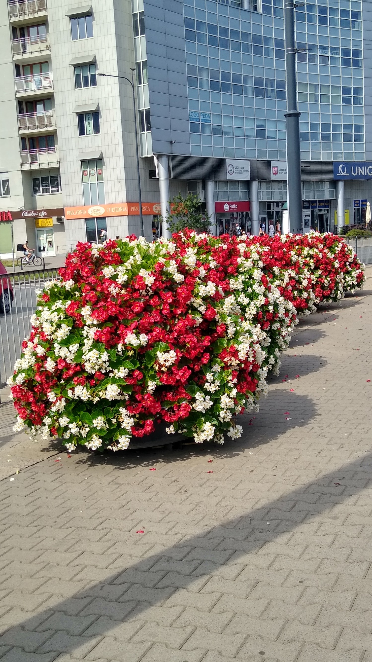 IMG_20240717_094201180_HDR.jpg