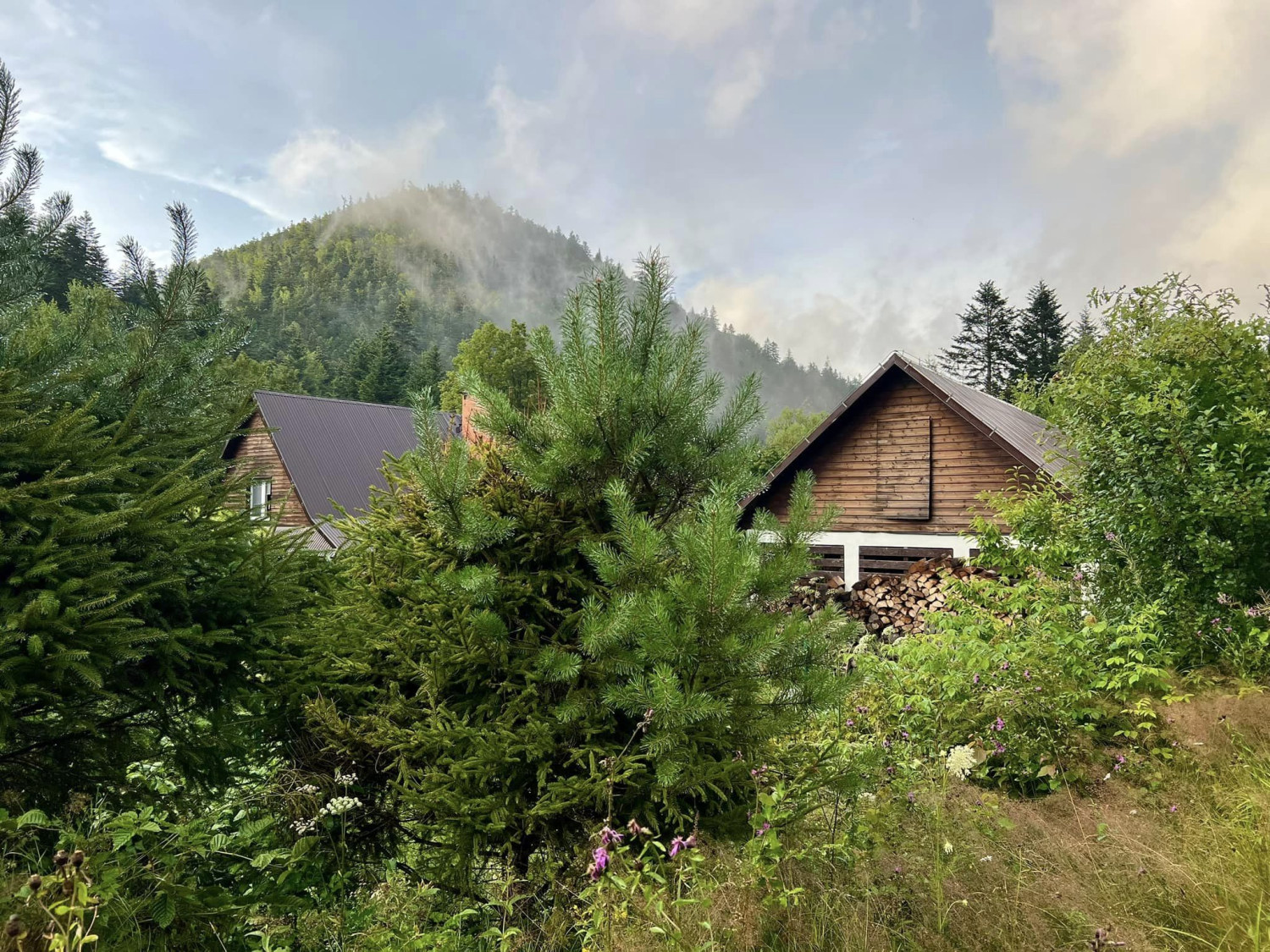 obraz_2024-07-25_125327523.png