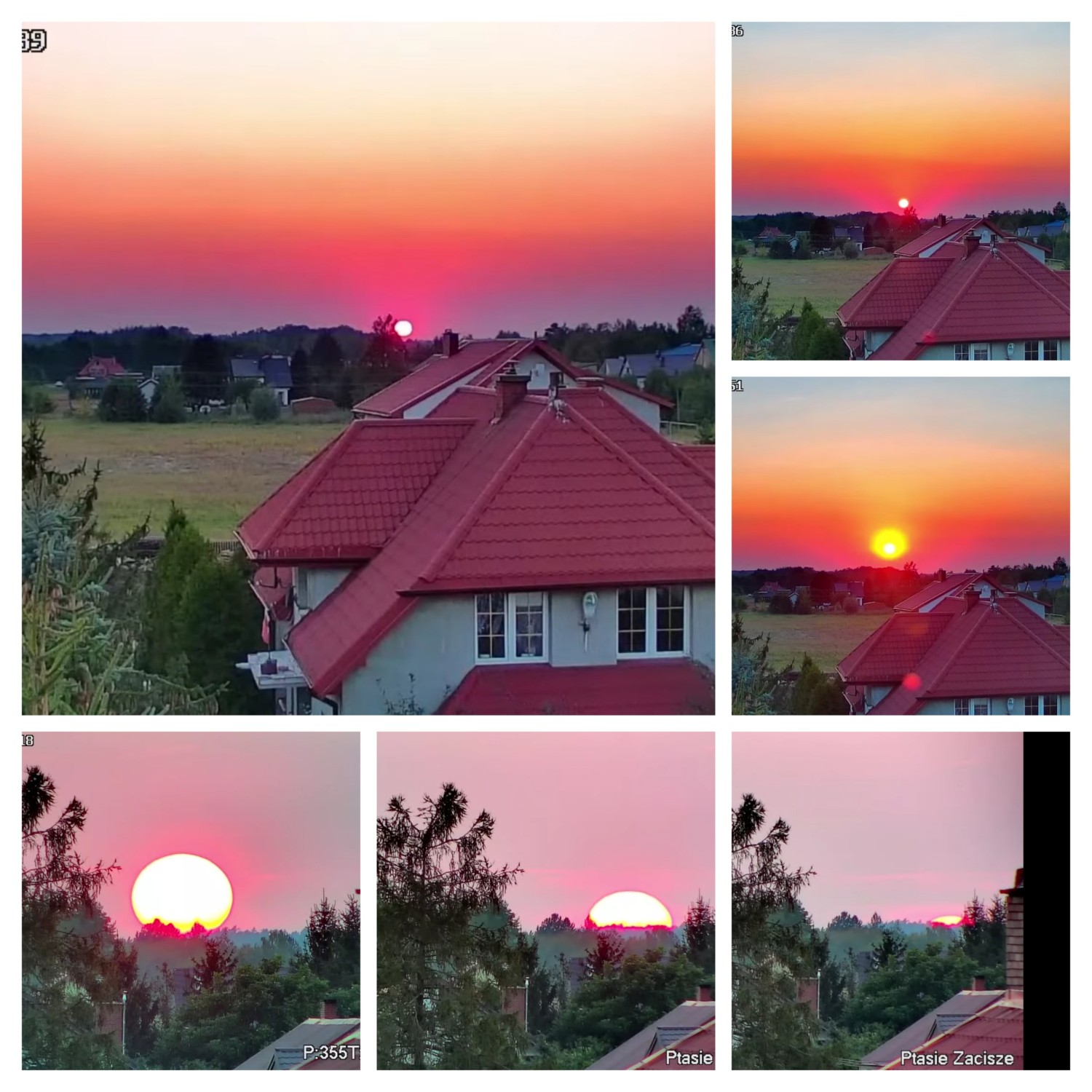 20240829_193701-COLLAGE.jpg