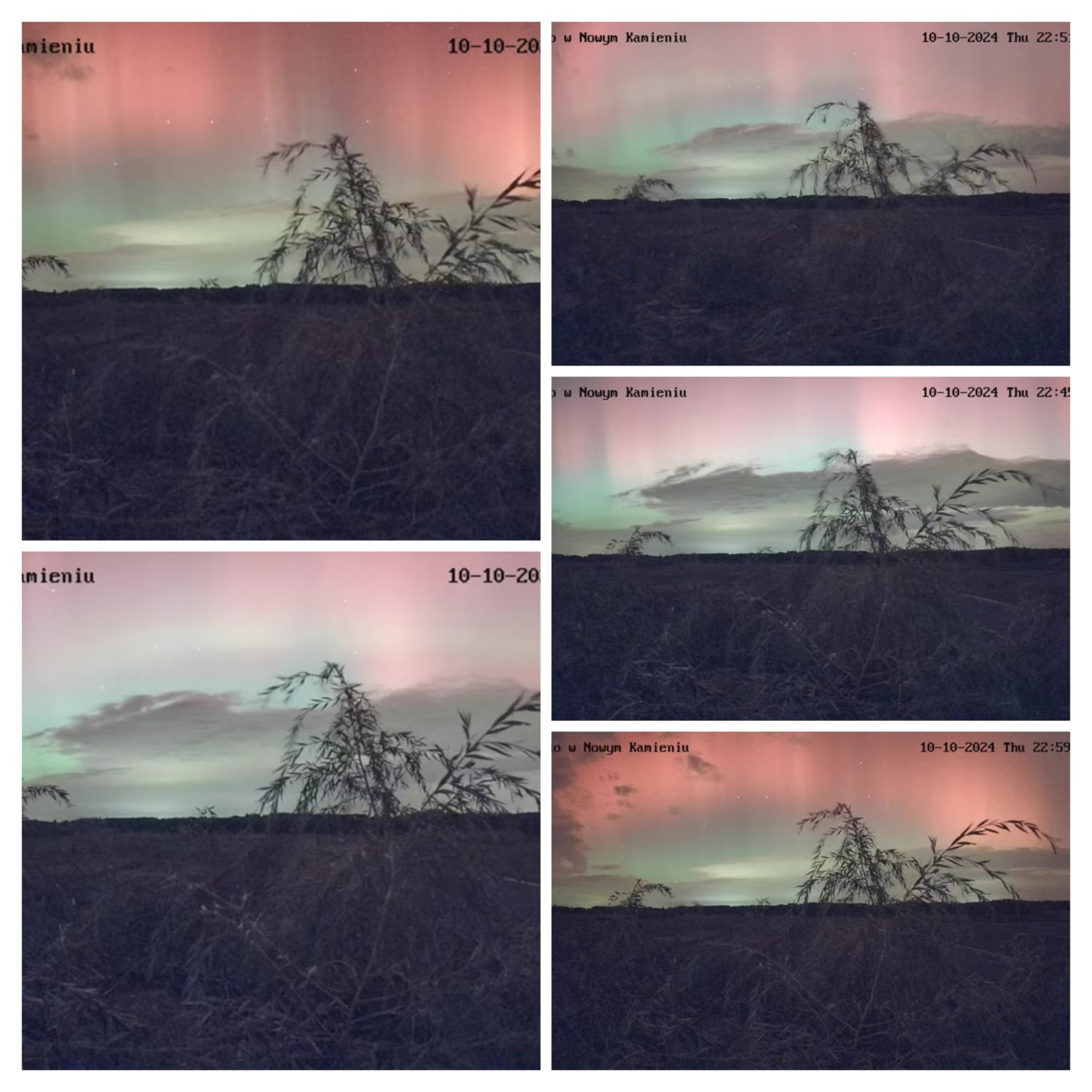 20241011_030122-COLLAGE.jpg