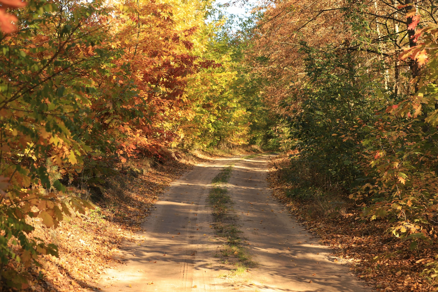 obraz_2024-10-25_132230086.png