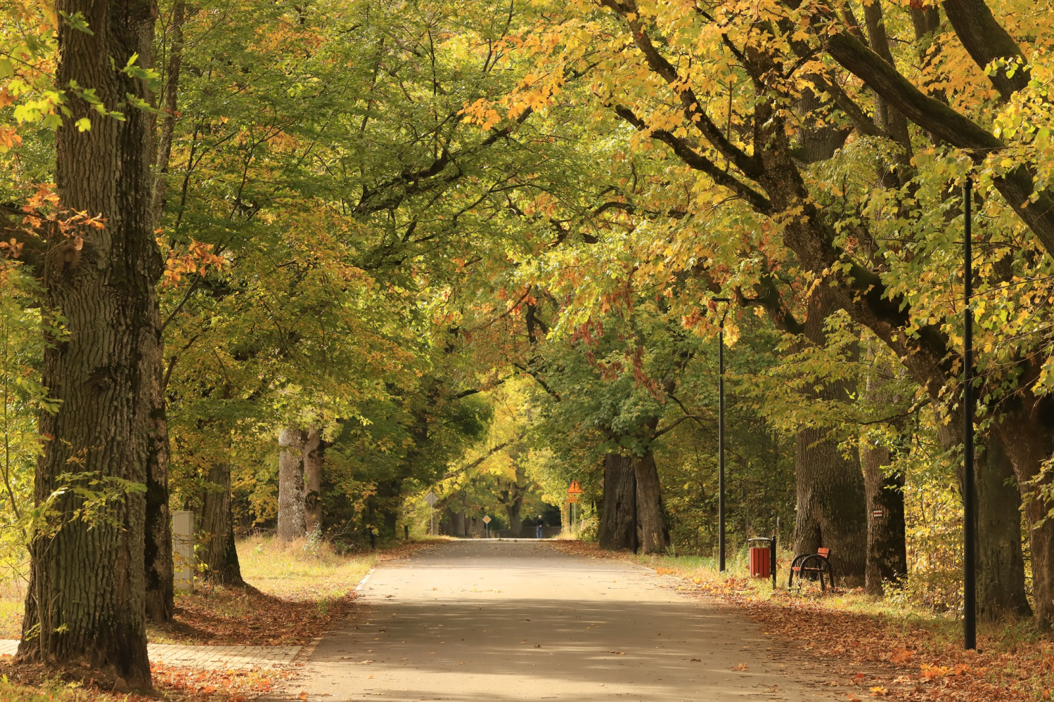 obraz_2024-10-25_132135261.png