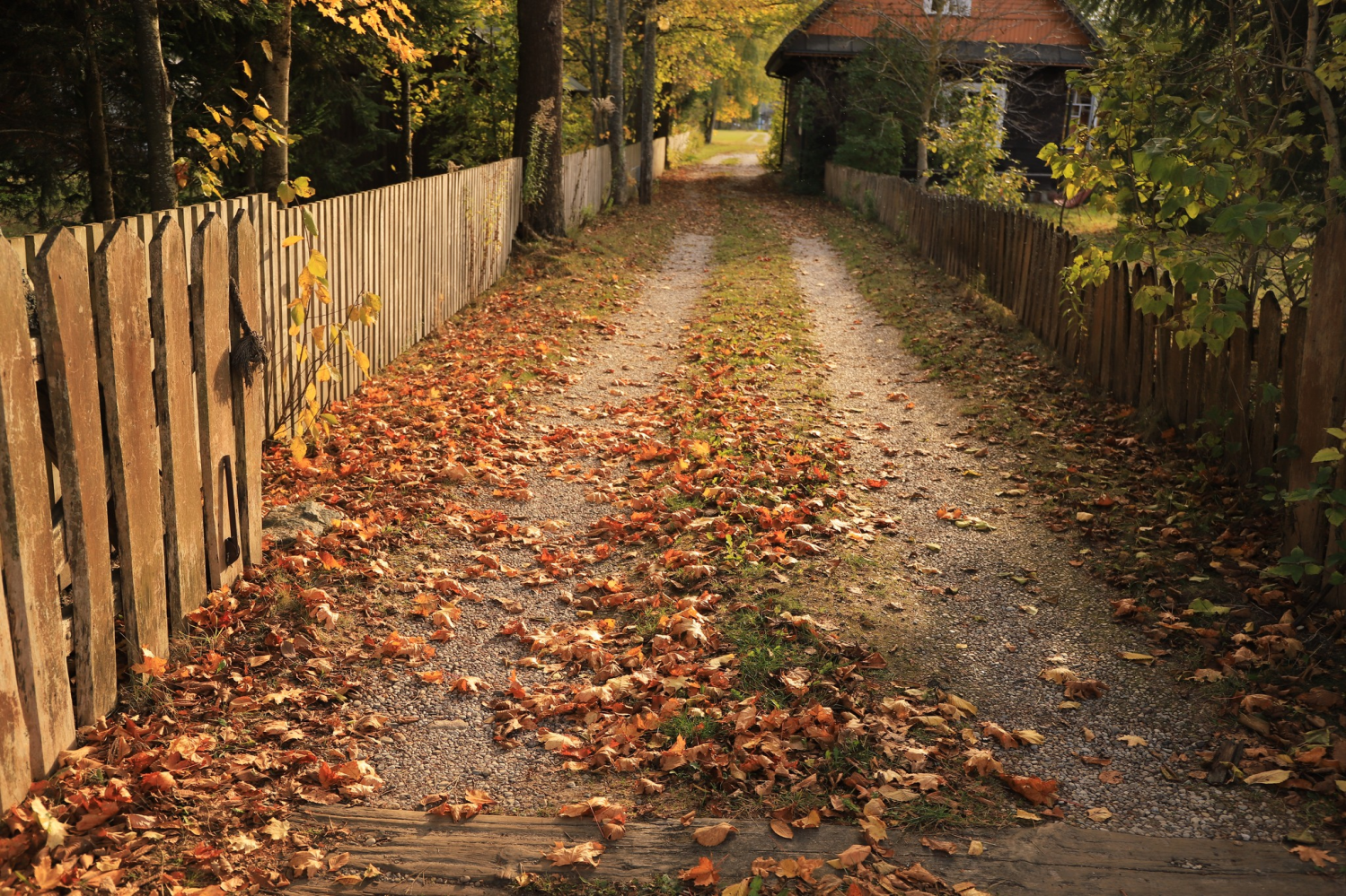 obraz_2024-10-25_131551771.png
