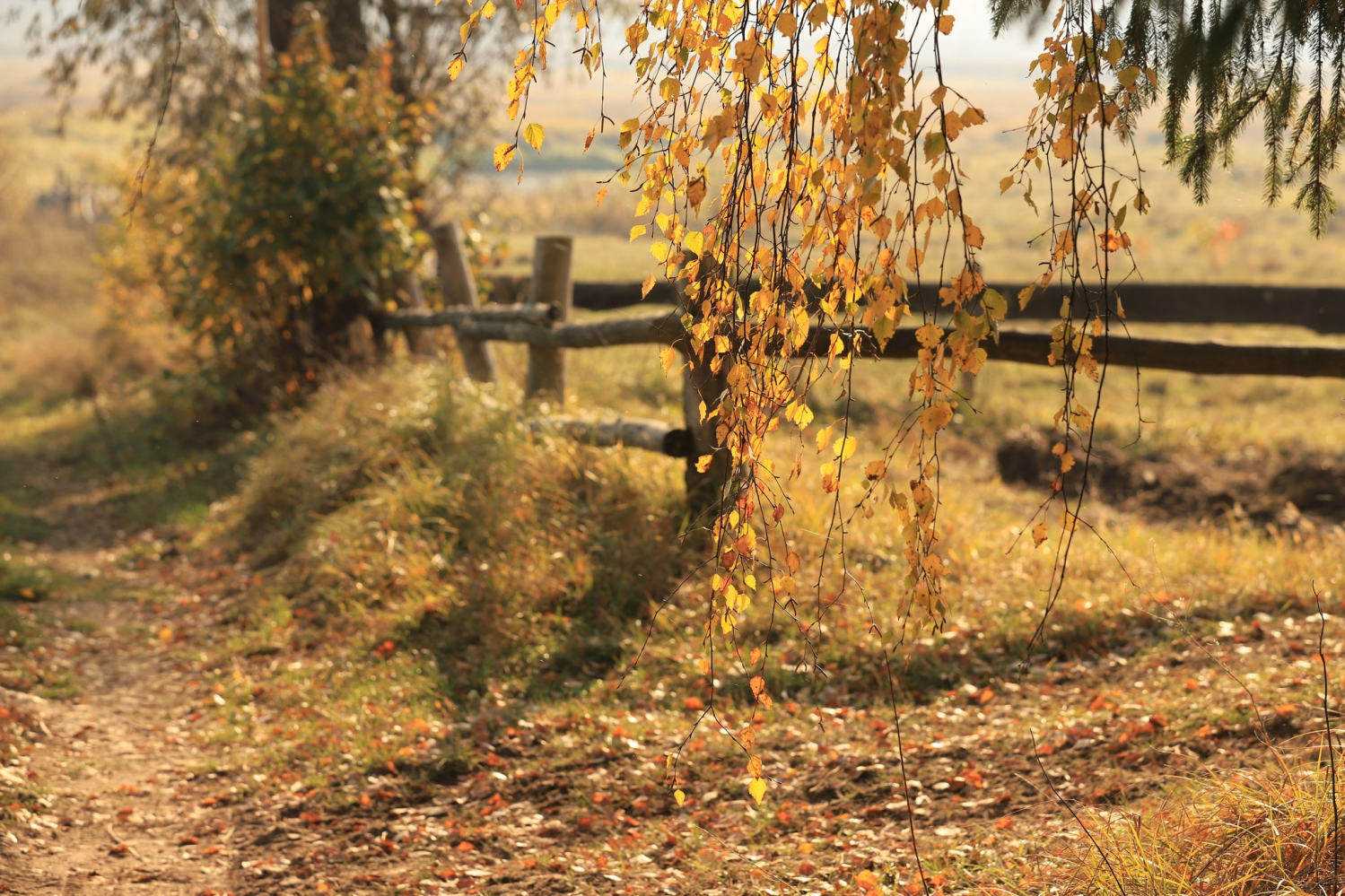 obraz_2024-10-29_165750371.png