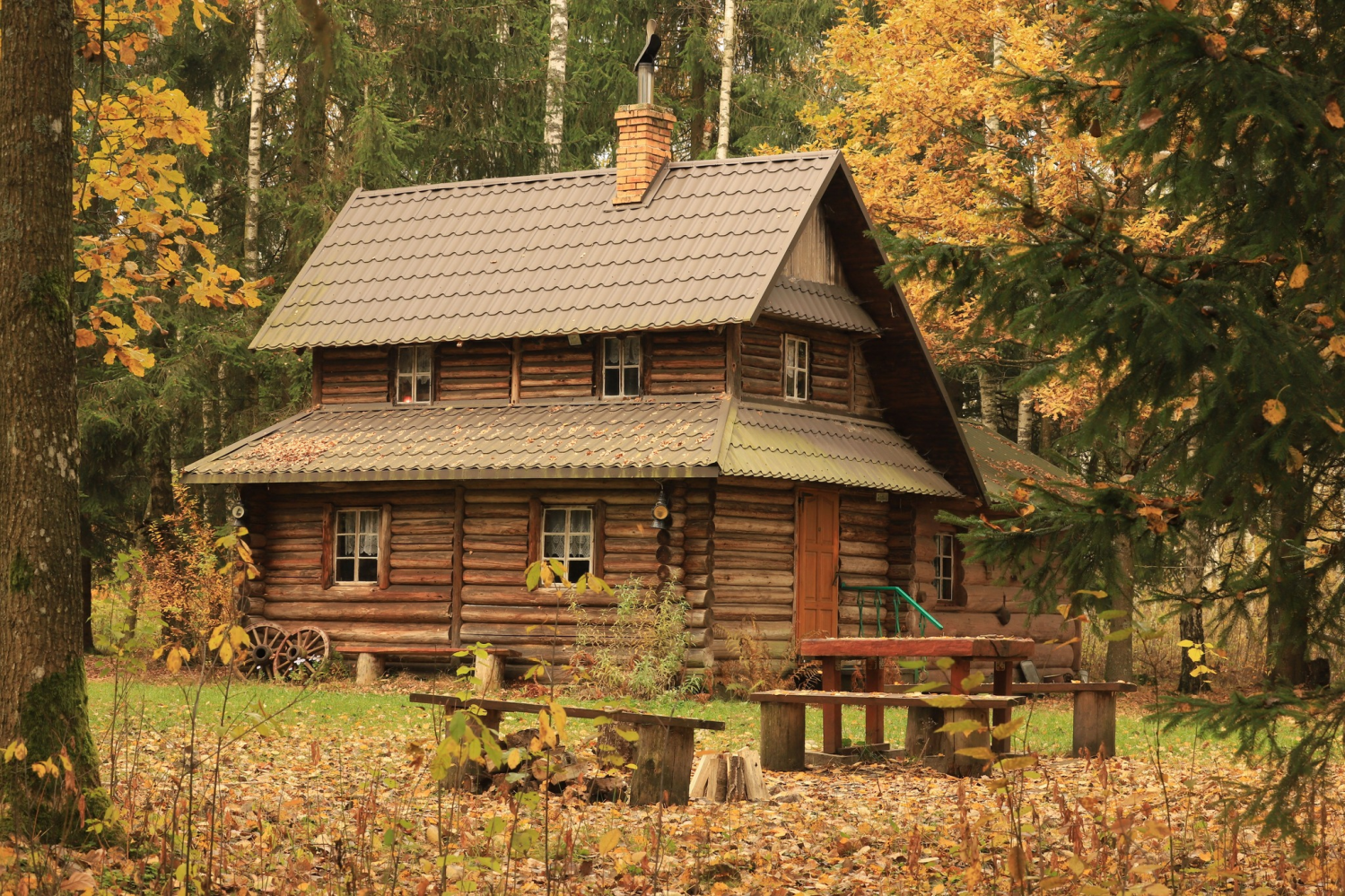 obraz_2024-10-29_165159479.png