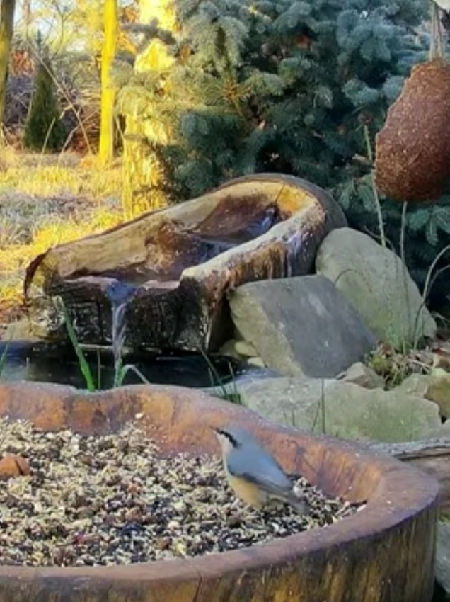 Screenshot_20241228_070433.jpg