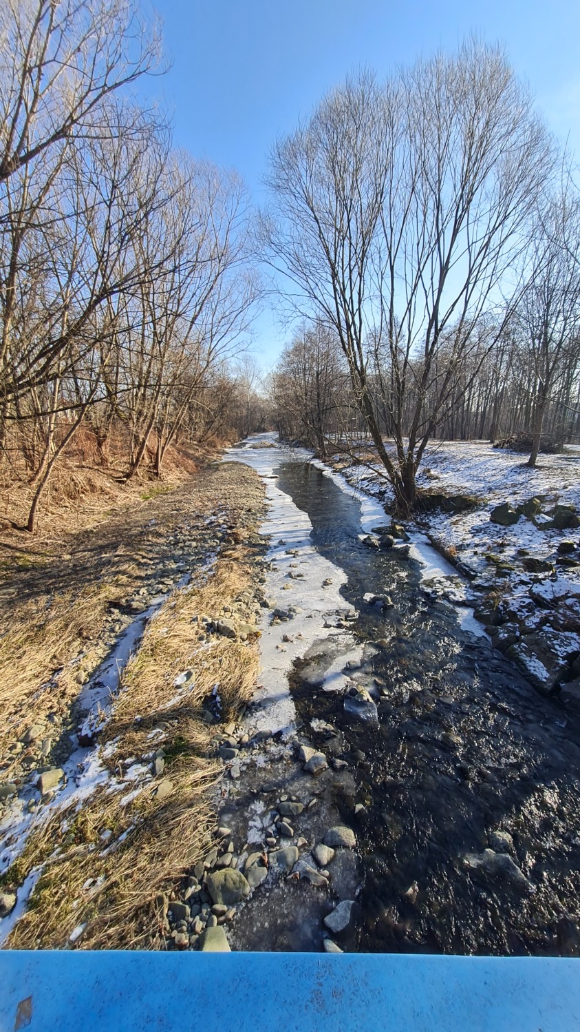 20250222_092240.jpg