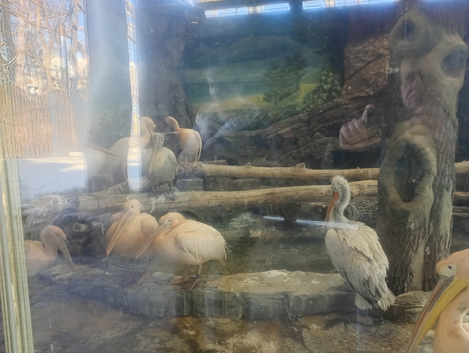 IMG_20250309_101047603_HDR.jpg