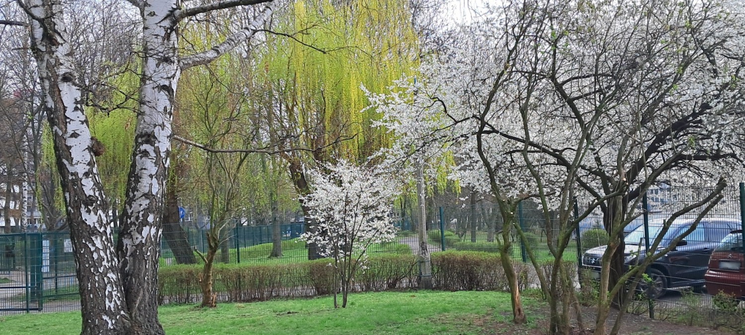 wiosna1-resized.jpg