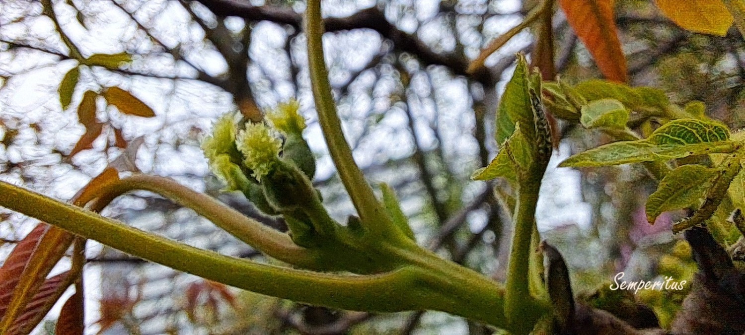 20250425_103320.jpg