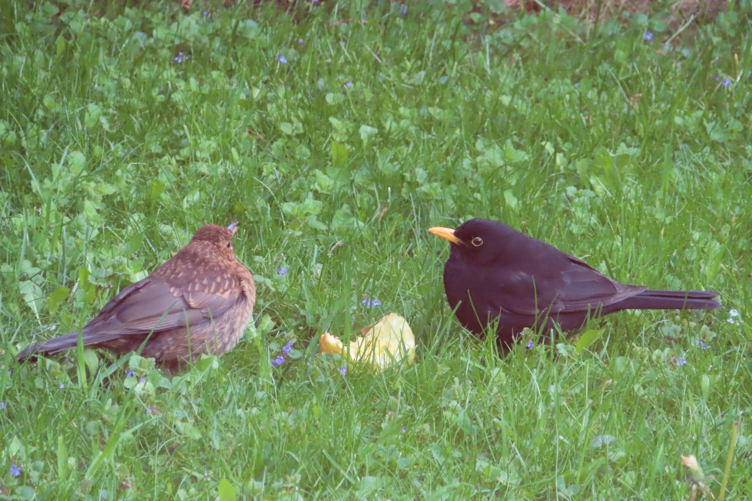 IMG_2627.JPG