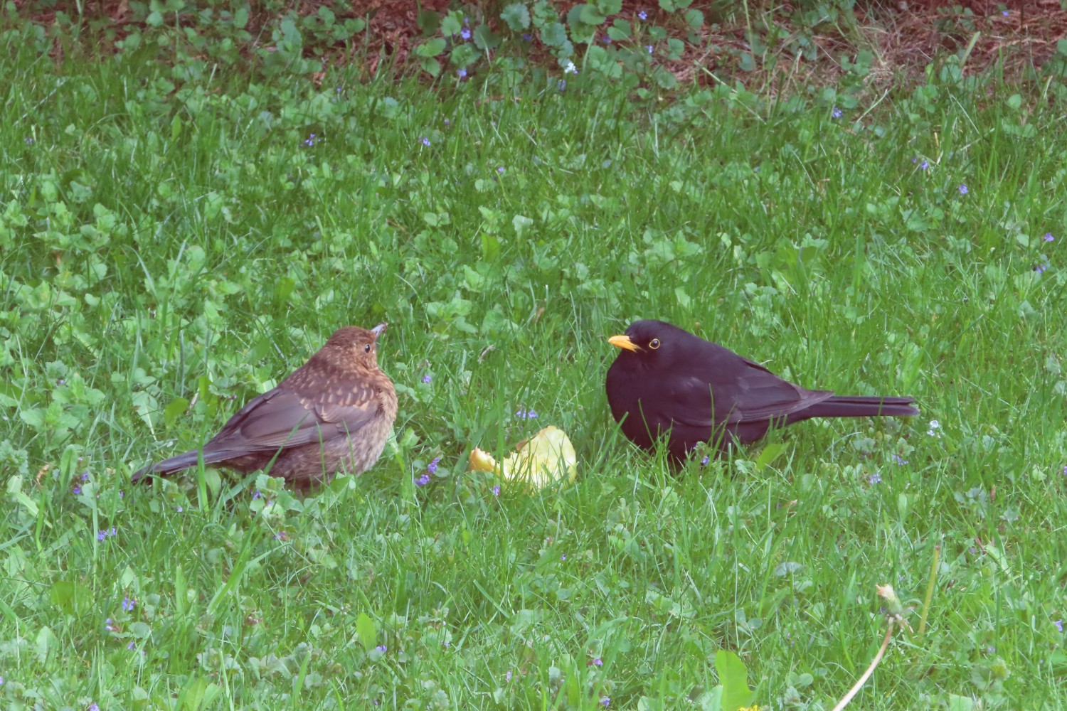IMG_2626.JPG