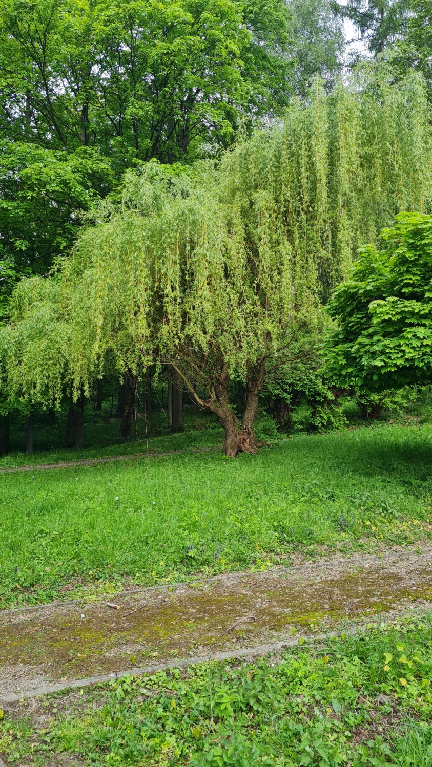 20250514_072248.jpg