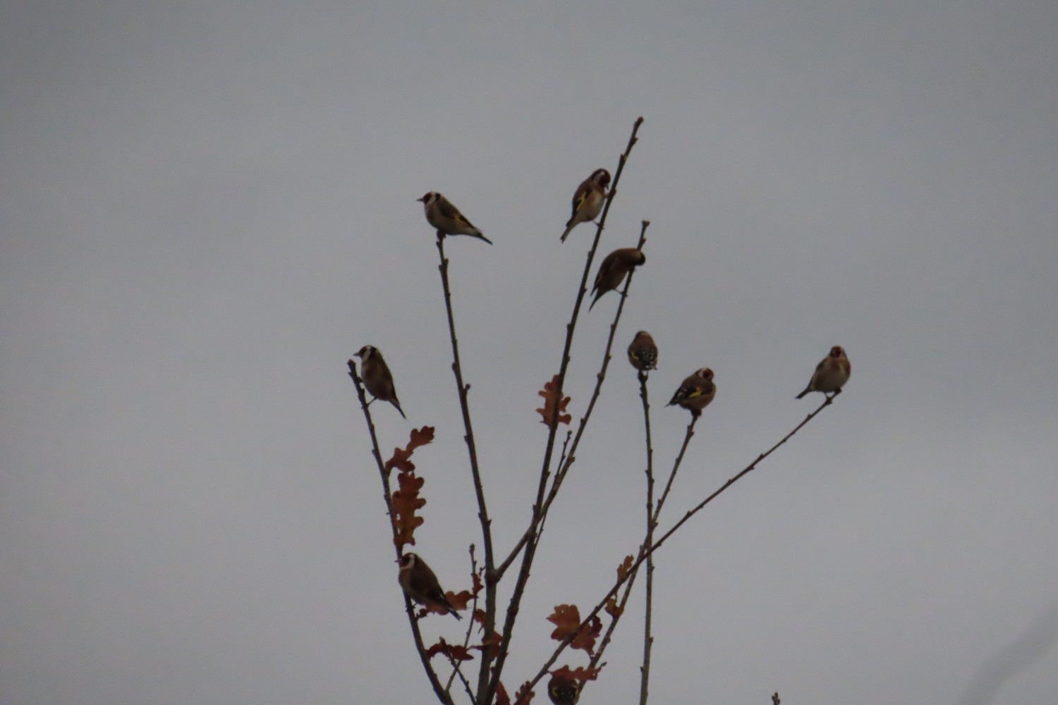 IMG_5318.JPG