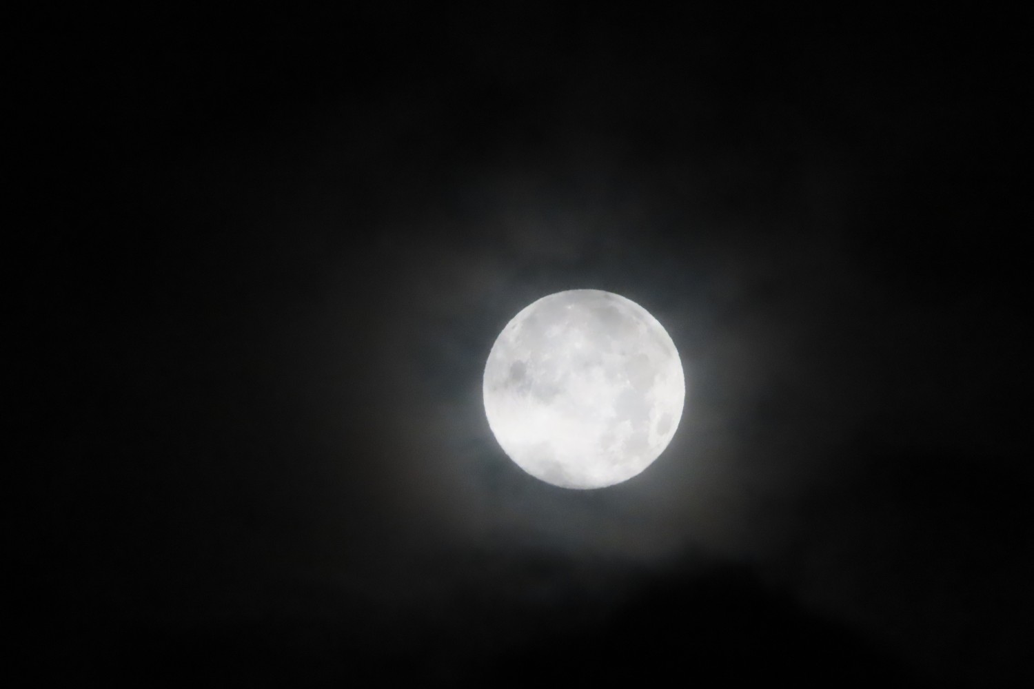 IMG_5457.JPG