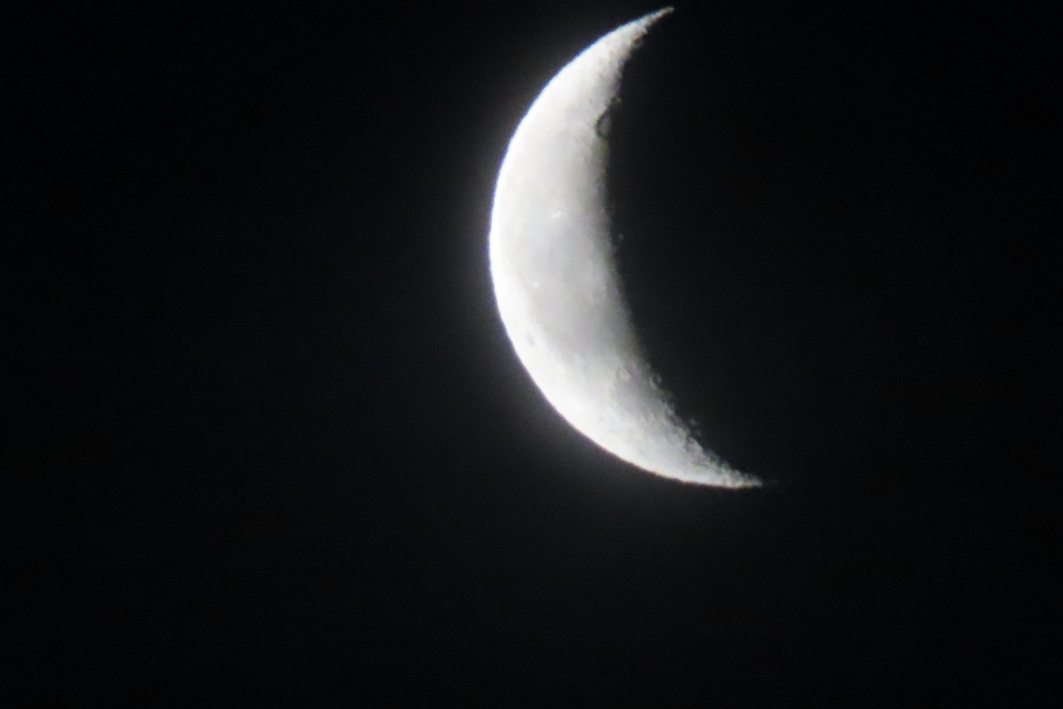 IMG_5829.JPG