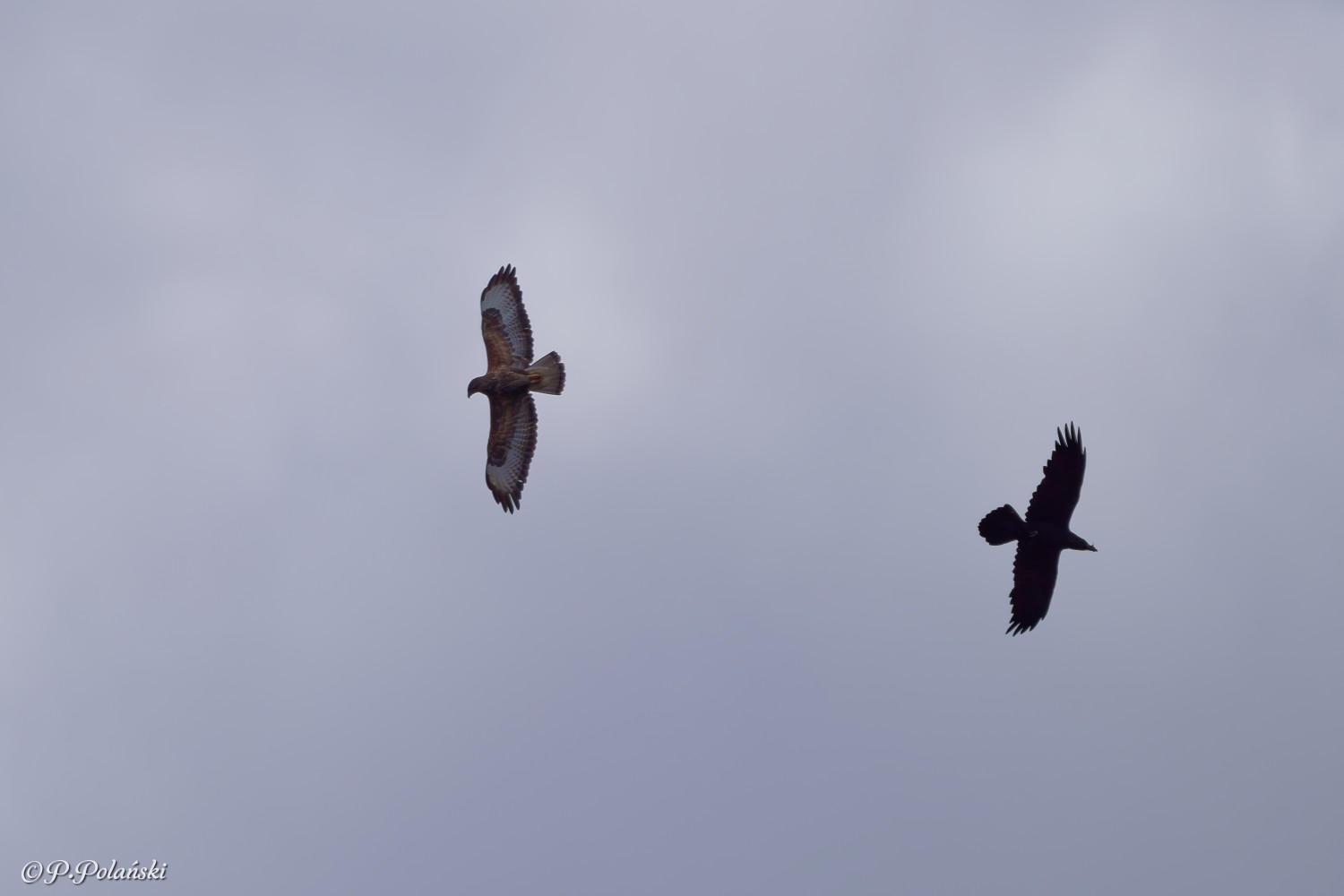 DSC04695_DxO.jpg