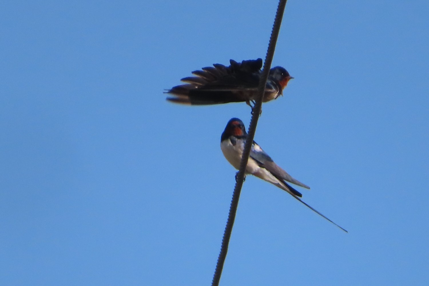 IMG_6915.JPG